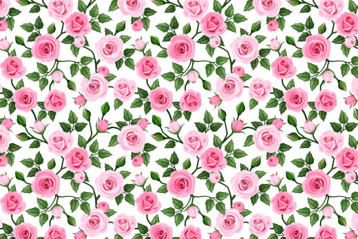 984776 (a): :1920x1280